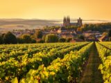 Champagne Frankreich: Entdecken Sie die Weinregion